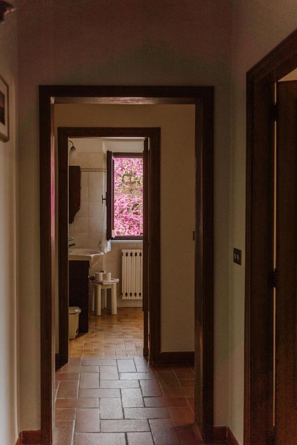 Vakantieboerderij Nottola Montepulciano Stazione