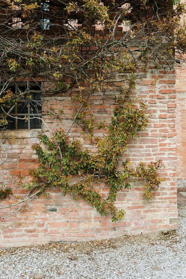 Séjour à la ferme Nottola Montepulciano Stazione