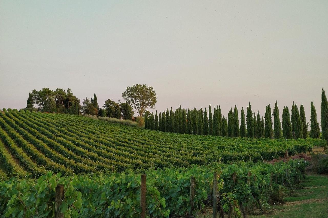 Nottola Montepulciano Stazione